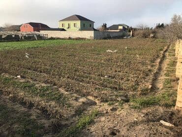 qutqaşınlı küçəsi: 15 sot — 2