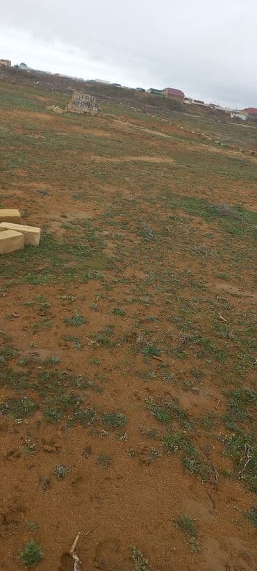 недвижимость в баку из рук в руки: 8 соток, Для строительства, Собственник, Бялядия (муниципалитет) — 6