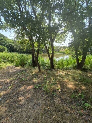 35 sot, Kupça (Çıxarış)