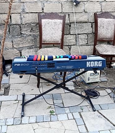 İdman və istirahət: Sintezator, Korg — 1