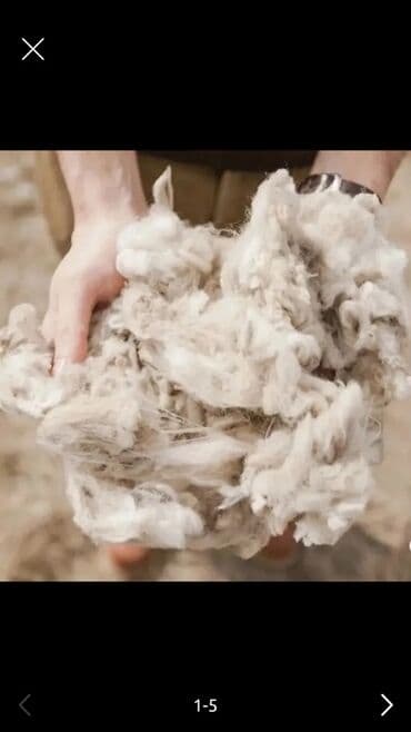 Məhsul: Qoyun yunu (təbii, açıq rəngli liflər) Təsvir: - Təbii qoyun