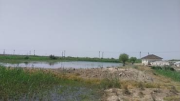 munasib qiymete evler: 8 sot, Kənd təsərrüfatı, Maklerlər narahat etməsin, Kupça (Çıxarış) — 3