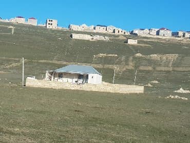bine atcılıq: 80 sot — 2