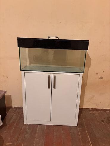 akvariyum: Dördbucaq akvarium, Boş, 80 l — 2