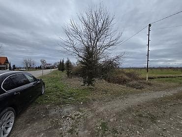 5000 sot, Kənd təsərrüfatı, Mülkiyyətçi, Texniki pasport, Kupça (Çıxarış) lalafo.az -da 5000 sot, Kənd təsərrüfatı, Mülkiyyətçi, Texniki pasport, Kupça (Çıxarış)