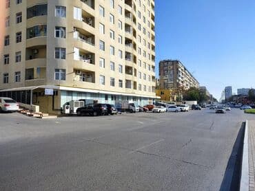 продажа квартира: 2 комнаты, Новостройка, м. Ази Асланов, 85 м² — 4