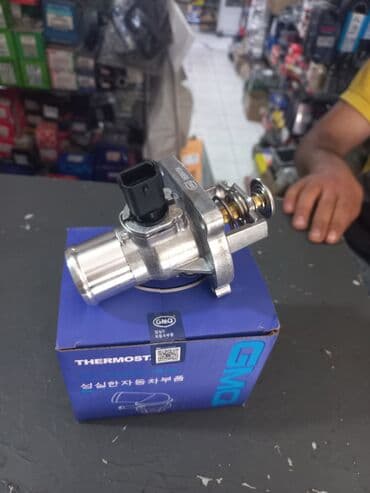 ceşqa turbo az: Chevrolet Cruze Orginal "GMQ" "GM" termostatları, Bobinləri Alışqan — 3