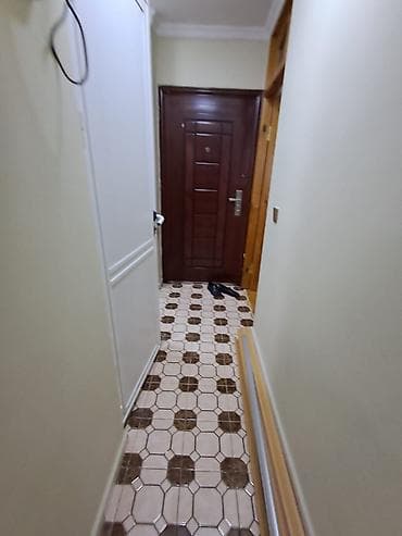 Dəhliz/ giriş qapısı paketi - Giriş qapısı: tünd qəhvəyi tonlarda