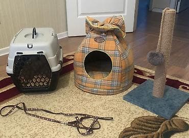 tap. az itler: Məhsul təsviri: pişik üçün aksesuarlar dəsti - Daşıma konteyneri — 1