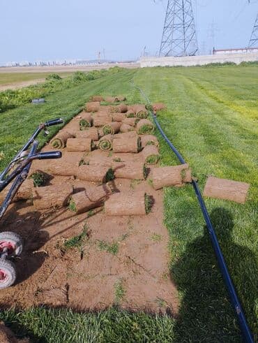 suni qazon qiyməti: Rulon qazon - Peşəkar qazon plantasiyasından kəsilib rulon halında — 13
