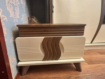 Ofis mebeli: İkinəfərlik çarpayı, Dolab — 7