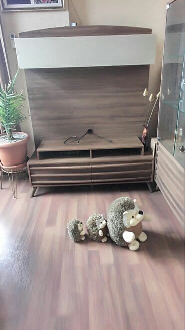 gerkules qiymeti: İşlənmiş, Düz TV altlığı, Polkalı, Türkiyə — 2