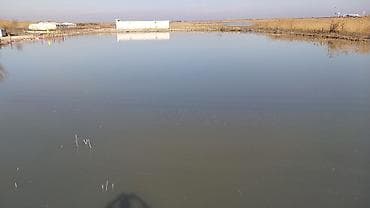 munasib qiymete evler: 8 sot, Kənd təsərrüfatı, Maklerlər narahat etməsin, Kupça (Çıxarış) — 7