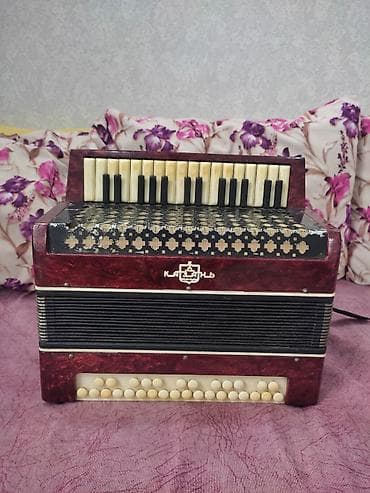 cirtdan show bilet: Akustik Akkordeon, İşlənmiş, Ünvandan götürmə — 2