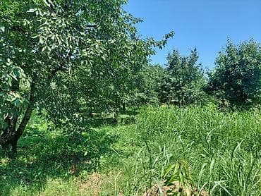 64 sot, Kənd təsərrüfatı, Mülkiyyətçi, Kupça (Çıxarış) — 7