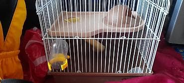 yem satisi: Hamster qəfəsi və aksesuar dəsti - Kiçik gəmiricilər üçün iki — 3