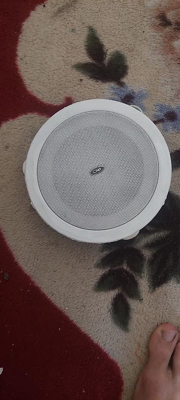 Kolonka, Növ - Akustik, rəng - Ağ