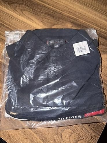 Мужская одежда: Мужское поло, Tommy Hilfiger, L, цвет - Синий — 1