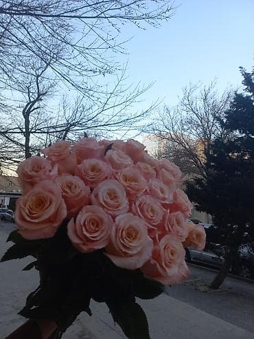 Gul dukanna satici xanm teleb olunur 3gune 300manat,yas 25den yuxari