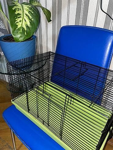 Akvariumlar: Kiçik heyvanlar üçün qəfəs - Material: möhkəm metal barmaqlıqlar — 1