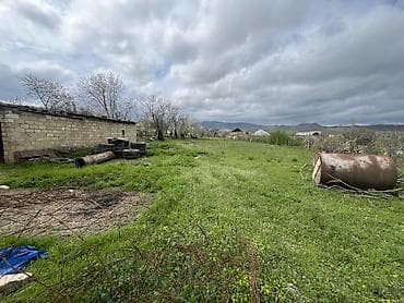 10 sot, Tikinti, Mülkiyyətçi, Kupça (Çıxarış), Bələdiyyə