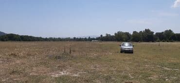 xacmaz torpaq satilir: 45 sot, Kənd təsərrüfatı, Mülkiyyətçi, Kupça (Çıxarış) — 4