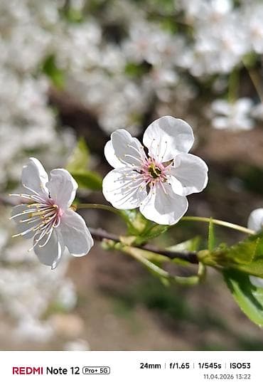 digital kamera: Redmi Note 12 Pro+, 256 GB, rəng - Qara, Sensor, Barmaq izi, İki sim kartlı — 7