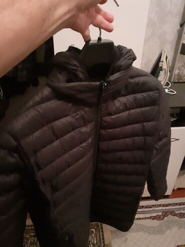 kurtka zara: Kurtka, Bolonka, Qış, L — 3