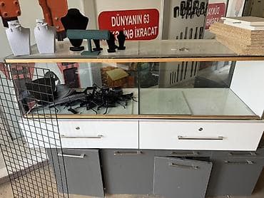tor satışı: Hsmısı alan olsa Ucuz Satılacaq Mağaza avadanlıqları və aksessuarları — 6