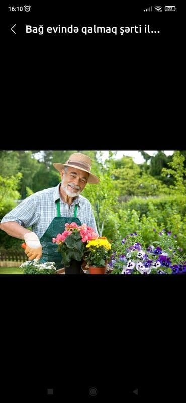 ищу работу на своей машине: Дворник, садовник, 62 лет, Больше 6 лет опыта — 1