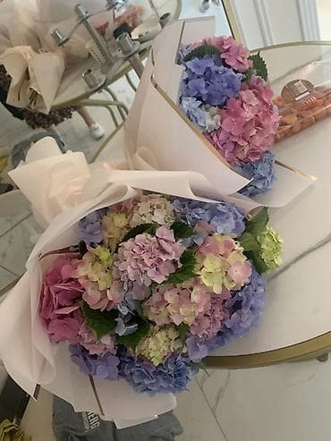 turşular: Hortensiya (Hydrangea) fidanları və kəsmə gül dəstələri - Bitki: bağ — 2