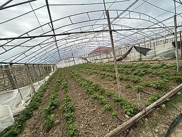 ev qap: İstixana kompleksi – dam örtüyü karkaslı, tam işlək əkin sahələri və — 4