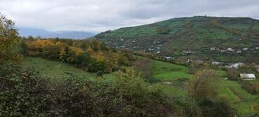 obyekt ucun torpaq: 55 sot, Kənd təsərrüfatı, Maklerlər narahat etməsin, Kupça (Çıxarış) — 5