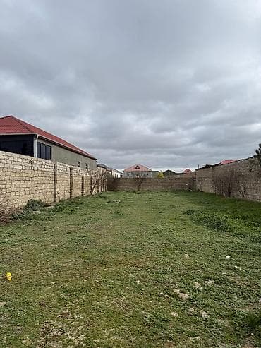 lan: Tikinti, Kupça (Çıxarış) — 2