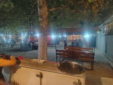 ламбир на потолок: Açıq hava kafe/çay bağı - Geniş, ağacların kölgəsində rahat həyət — 3