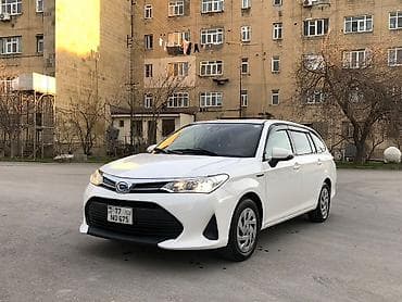 teker 15 lik: Toyota Corolla: 1.5 l | 2019 il Universal — 7