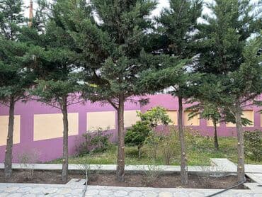 kiraye evler 250 300 manat bileceri: 250 kv. m, 4 otaqlı, Kombi, Qaz, İşıq — 14