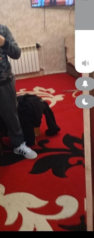 ağ sirkə: Xalça Dekorativ — 1