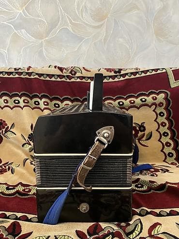 akkardion: Akustik Akkordeon — 6