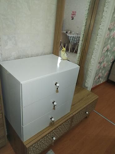 kosu bandi: Güzgülü — 2