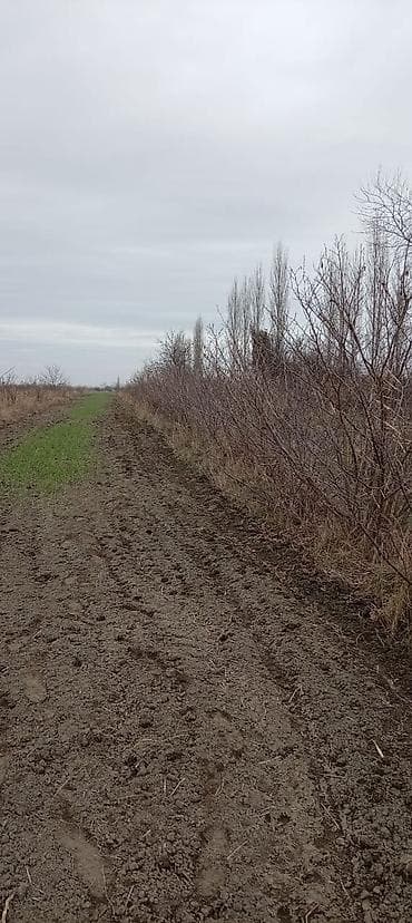 ucuz torpaq satılır: 28 sot — 1