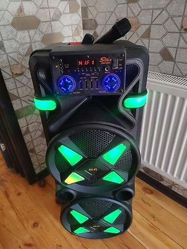 flash kart: Səs gücləndirici/karaoke kolonka – Sing-e ZQS12205 - İnteqrə olunmuş — 2