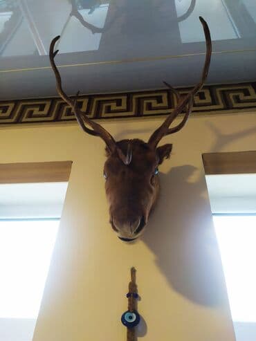 dekor: Buynuzlar — 1