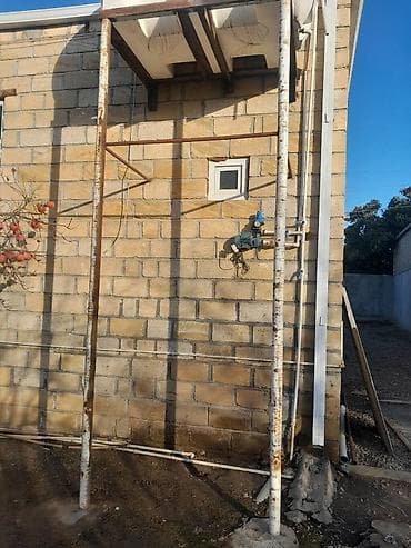 Растения: Uzun durbalar satilir rusun qalin 75 durbasidi 10 metrden artiqdi iki — 1