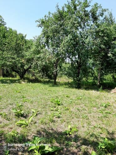 şabran torpaq: 10 sot, Tikinti, Mülkiyyətçi, Kupça (Çıxarış) — 15