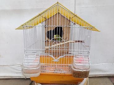 Heyvanlar üçün mallar: Tutuquşu qəfəsi ilə birlikdə satılır. 25 AZN son qiymətdir. əlavə 5 — 2