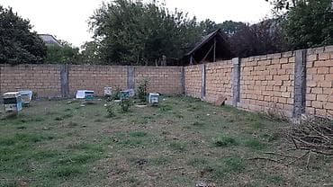 12 sot, Tikinti, Mülkiyyətçi, Kupça (Çıxarış)