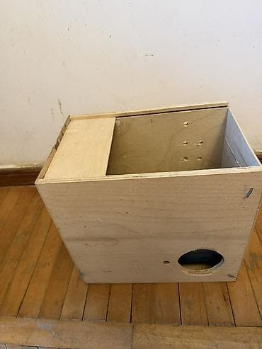 Taxta qutu Tutu quşu ucun