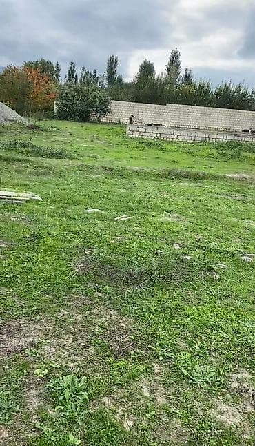 torpaq sahələri: 13 sot, Kənd təsərrüfatı, Kupça (Çıxarış) — 3