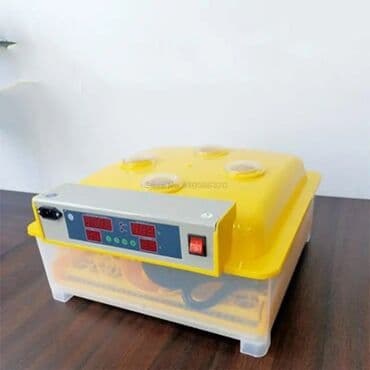 sud şağan aparat: Inkubatorlarin birinci əl satişi unversal inkubator inkubator 196 — 4